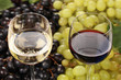 Rotwein und Weisswein