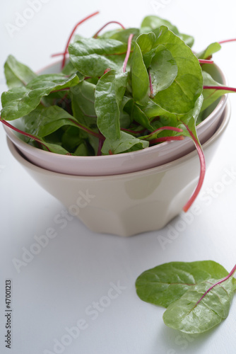 Photo: Red chard Red chard