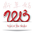 Year of the Snake 2013 applique background
