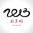 Year of the Snake 2013, Chinese Happy New Year - vector