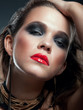Photo: Portrait of beautiful woman model with professional makeup Portrait of beautiful woman model with professional makeup