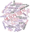 Word cloud for Micronutrient