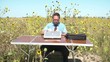 Businessman in Office Outside in Sunflower Field