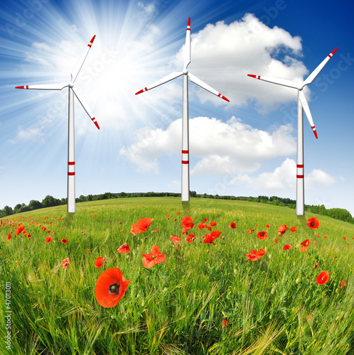 Photo: wind turbines in wheat field wind turbines in wheat field