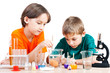 Young scientists
