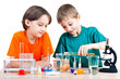 Young scientists