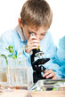 Young scientist