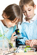 Young scientists