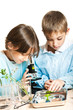 Young scientists