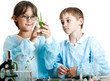 Young scientists