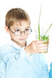 Young scientist