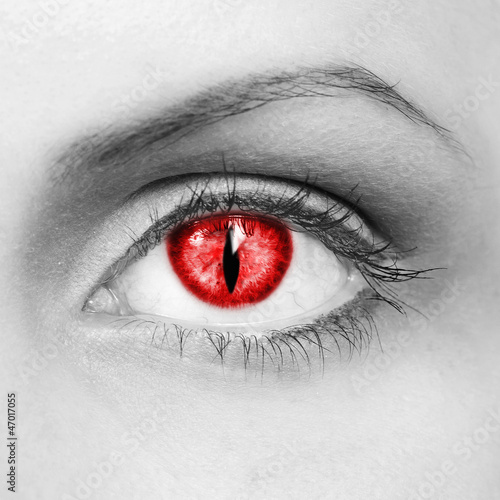 Photo: The vampire eye The vampire eye