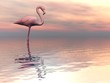 Peaceful falmingo- 3D render