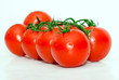 Frische Bio-Tomaten mit Rispe