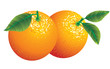 Oranges