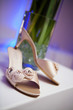 Bride's Shoes