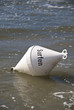 Buoy