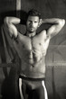 Sexy body portrait of a very muscular handsome man