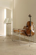 Foto: violoncello violoncello