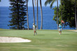 Unidentified golfers enjoy a game of golf