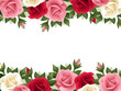 Vector background with colored roses.