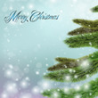 Snow flakes with Christmas green tree branches