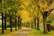Foto: Autumn Alley Autumn Alley