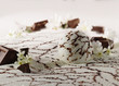 torte surgelate