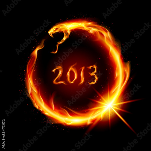 Vector: Fire snake Fire snake