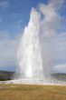 Old Faithful in Yellowstone