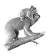 Koala - Australian Bear
