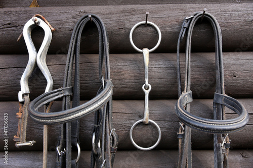 Photo: Details of diversity used horse reins Details of diversity used horse reins