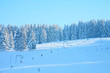 Ski resort