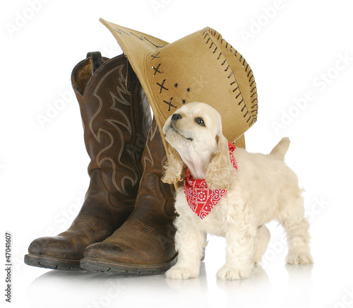 Photo: country dog country dog