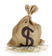 Bag with money isolated on white