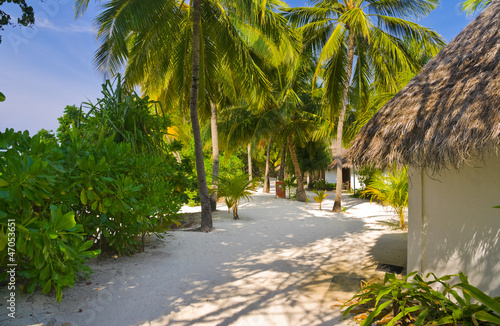 Photo: Bungalows on beach and sand pathway Bungalows on beach and sand pathway