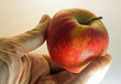 adult hand holding a Apple