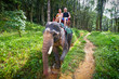 Foto: Elephant trekking in Khao Sok National Park, Thailand Elephant trekking in Khao Sok National Park, Thailand