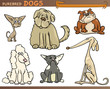 purebred dogs cartoon set
