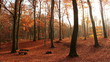 Herbst