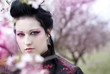 girl in the garden sakura
