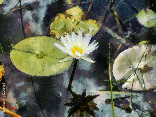 Illustration: Warter Lily Oil Painting Warter Lily Oil Painting