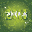 Ornamental New Year background