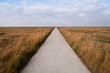 Freier Weg in den Salzwiesen