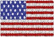 USA flag and dollar