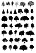 tree silhouette vector