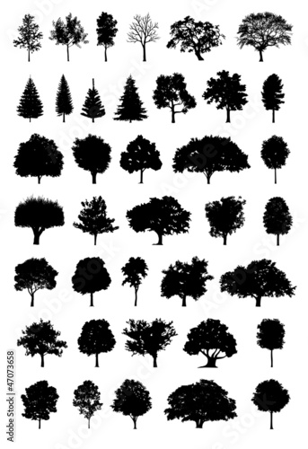 Vector: tree silhouette vector tree silhouette vector
