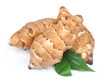 Jerusalem artichoke