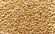 peanuts