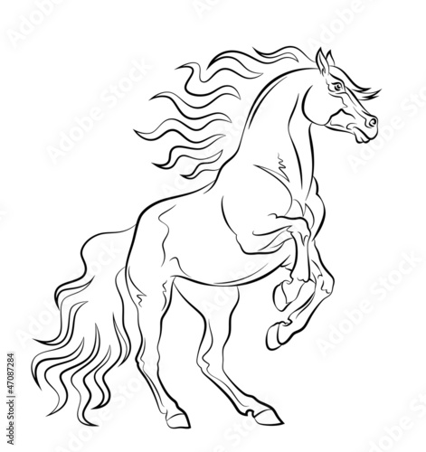 Vector: Mustang Mustang